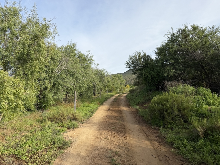 Commercial Property for Sale in Barrydale Western Cape